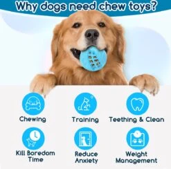 Nobleza Honden Speelgoed - Hondenspeeltjes - Hondenbal - Hondenspeelgoed - Honden Bal - Snackbal Hond - Kauwspeelgoed - Blauw - 8 Cm 16 Nobleza Honden Speelgoed - Hondenspeeltjes - Hondenbal - Hondenspeelgoed - Honden Bal - Snackbal Hond - Kauwspeelgoed - Blauw - 8 Cm -Hondenspeelgoed Winkel 1200x1183 5