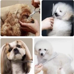 VoordeelShop 7-Delige Huisdier Knipset Met Etui - Trimmen Hond - Honden Schaar - Effileerschaar Hond - Huisdier Trimmer - Huisdier Knippen - Knipschaar Haar - Haar Schaar - Kapper - Kapperset - Scharenset 31 VoordeelShop 7-Delige Huisdier Knipset Met Etui - Trimmen Hond - Honden Schaar - Effileerschaar Hond - Huisdier Trimmer - Huisdier Knippen - Knipschaar Haar - Haar Schaar - Kapper - Kapperset - Scharenset -Hondenspeelgoed Winkel 1200x1190 3