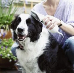 Merkloos HondenFöhn En Borstel - RVS Borstel - Huisdieren - 2 In 1 Hondenföhn 14 Merkloos HondenFöhn En Borstel - RVS Borstel - Huisdieren - 2 In 1 Hondenföhn -Hondenspeelgoed Winkel 1200x1190 4