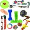 Filo Honden Speelgoed Set 14 Stuks - Hondenspeeltjes Knuffel - Hondenbal - Flostouw - Bot - Frisbee - Hondentouw - Hondenspeelgoed Intelligentie - Kauwspeelgoed Hond En Puppy - Bijtspeelgoed Hondenknuffel - Hondenspeeltje Met Piep -Hondenspeelgoed Winkel 1200x1191 11
