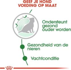 Hondenspeelgoed Winkel -Hondenspeelgoed Winkel 1200x1192 3