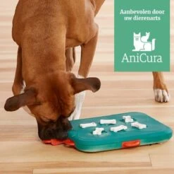 Nina Ottosson Dog Casino - Turquoise/Oranje - 31,5 X 26 X 4,5 Cm -Hondenspeelgoed Winkel 1200x1193 5