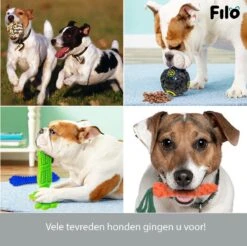Filo Honden Speelgoed Set 14 Stuks - Hondenspeeltjes Knuffel - Hondenbal - Flostouw - Bot - Frisbee - Hondentouw - Hondenspeelgoed Intelligentie - Kauwspeelgoed Hond En Puppy - Bijtspeelgoed Hondenknuffel - Hondenspeeltje Met Piep 16 Filo Honden Speelgoed Set 14 Stuks - Hondenspeeltjes Knuffel - Hondenbal - Flostouw - Bot - Frisbee - Hondentouw - Hondenspeelgoed Intelligentie - Kauwspeelgoed Hond En Puppy - Bijtspeelgoed Hondenknuffel - Hondenspeeltje Met Piep -Hondenspeelgoed Winkel 1200x1197 15