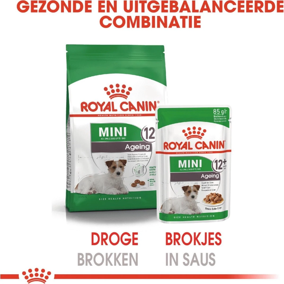 Royal Canin Shn Mini Ageing 12plus Pouch - Hondenvoer - 12x85 G 6 Royal Canin Shn Mini Ageing 12plus Pouch - Hondenvoer - 12x85 G - Afbeelding 4