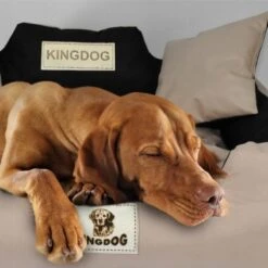 KingDog - Groot Honden- En Kattenbed 75 X 65 | Donkergrijs - Maat M 13 KingDog - Groot Honden- En Kattenbed 75 X 65 | Donkergrijs - Maat M -Hondenspeelgoed Winkel 1200x1198 10
