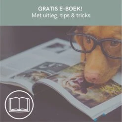 Comfort Company Praatknop Hond | Dogbuttons – Honden Speelgoed | Honden Speelgoed Intelligentie | 4 Stuks | Agility Voor De Hond | 30 Seconden Opnamen | Honden Training -Hondenspeelgoed Winkel 1200x1198 12