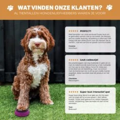 Vulpes Pets® PRO Praatknop Voor Honden - Dogbuttons - Laat Uw Huisdier Spreken - Hondenspeelgoed - Honden Training - Incl. E-Book & Trainingsstickers 22 Vulpes Pets® PRO Praatknop Voor Honden - Dogbuttons - Laat Uw Huisdier Spreken - Hondenspeelgoed - Honden Training - Incl. E-Book & Trainingsstickers -Hondenspeelgoed Winkel 1200x1198 13