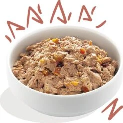 11x Edgard & Cooper Kuipje Vers Vlees Senior Hondenvoer Kip - Zalm 150 Gr 16 11x Edgard & Cooper Kuipje Vers Vlees Senior Hondenvoer Kip - Zalm 150 Gr -Hondenspeelgoed Winkel 1200x1198 18