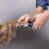Merkloos Nagelknipper Hond - Huisdier - Dier - Kat - Nageltang - Nagelschaar - Nagels Knippen Hond - Dierennagel Knipper 2 Merkloos Nagelknipper Hond - Huisdier - Dier - Kat - Nageltang - Nagelschaar - Nagels Knippen Hond - Dierennagel Knipper -Hondenspeelgoed Winkel 1200x1198 4
