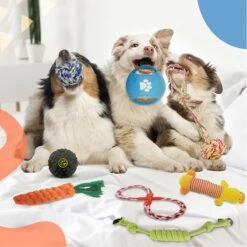 Luxury Diversity - Honden Speelgoed - 12 Honden Speeltjes - Puppy Speelgoed - Honden - Honden Speelgoed Intelligentie 14 Luxury Diversity - Honden Speelgoed - 12 Honden Speeltjes - Puppy Speelgoed - Honden - Honden Speelgoed Intelligentie -Hondenspeelgoed Winkel 1200x1199 10