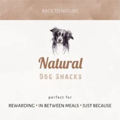 Antos Runderoor Smoked Rund Hondensnack - 280 G - 10 Stuks -Hondenspeelgoed Winkel 1200x1199 18