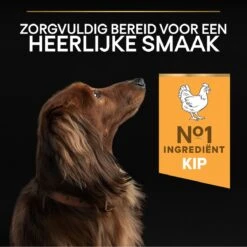 Pro Plan Everyday Nutrition Adult Small & Mini - Honden Droogvoer - Kip - 3 Kg 30 Pro Plan Everyday Nutrition Adult Small & Mini - Honden Droogvoer - Kip - 3 Kg -Hondenspeelgoed Winkel 1200x1199 19