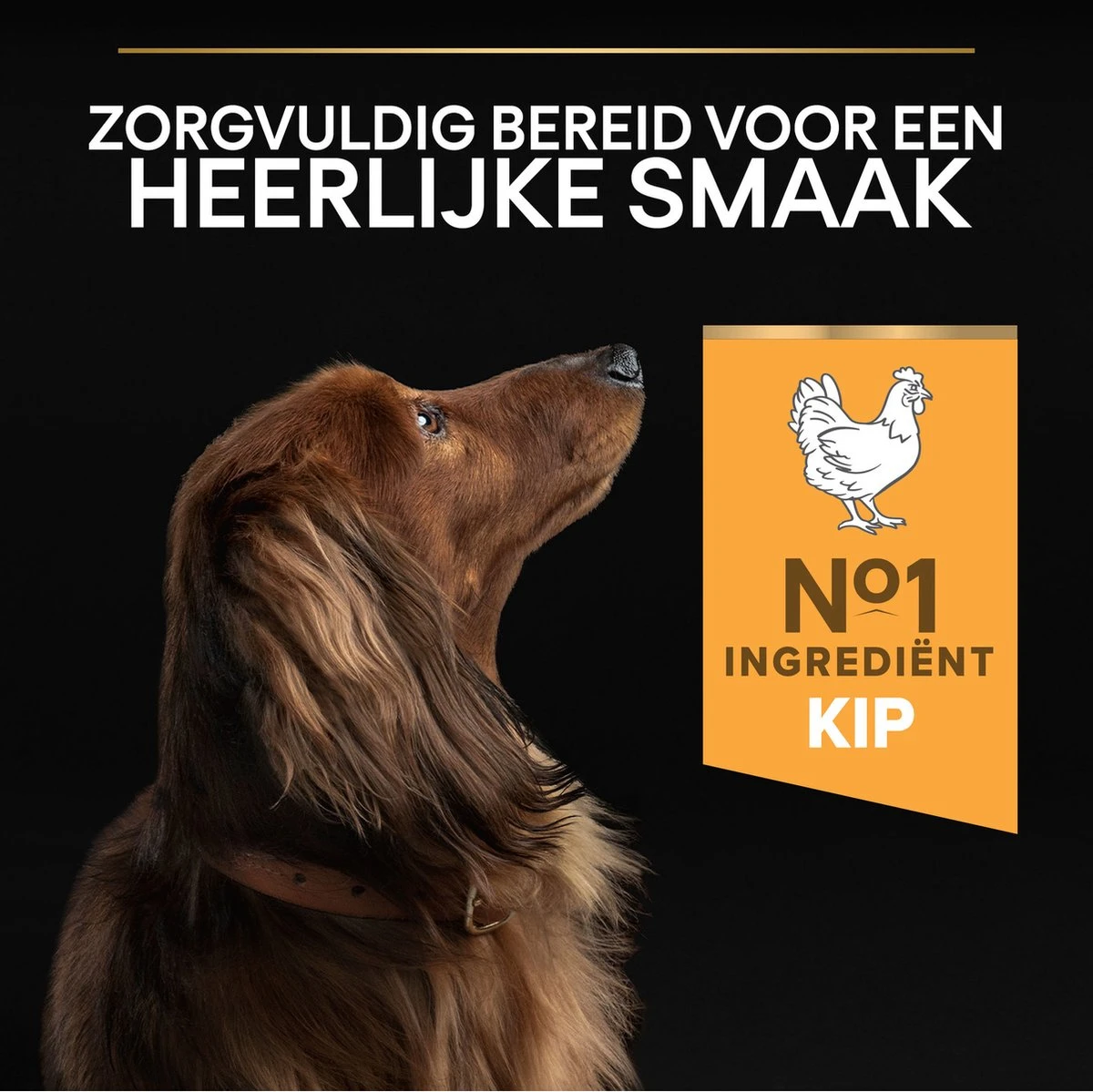 Pro Plan Everyday Nutrition Adult Small & Mini - Honden Droogvoer - Kip - 3 Kg 14 Pro Plan Everyday Nutrition Adult Small & Mini - Honden Droogvoer - Kip - 3 Kg - Afbeelding 12