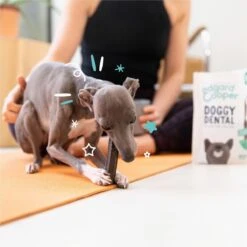 Merkloos Edgard & Cooper Doggy Dental Sticks Aardbei - Frisse Muntolie Small 19 Merkloos Edgard & Cooper Doggy Dental Sticks Aardbei - Frisse Muntolie Small -Hondenspeelgoed Winkel 1200x1199 21