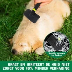 Mister Mill Professionele Set Slicker Honden Kattenborstel Plus Nagelknipper Plus Ondervacht Kam 27 Mister Mill Professionele Set Slicker Honden Kattenborstel Plus Nagelknipper Plus Ondervacht Kam -Hondenspeelgoed Winkel 1200x1200 100