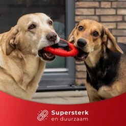 Kauwbot Stuurwiel 2.0 Extra Sterk Melk Geur Smaak En Piep Honden Speelgoed - Kauwspeelgoed Bot Hond - Dutchwide -Hondenspeelgoed Winkel 1200x1200 1001