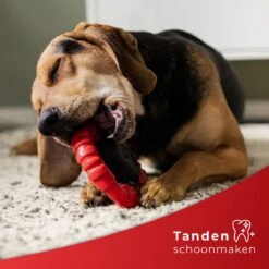 Kauwbot Stuurwiel 2.0 Extra Sterk Melk Geur Smaak En Piep Honden Speelgoed - Kauwspeelgoed Bot Hond - Dutchwide -Hondenspeelgoed Winkel 1200x1200 1002