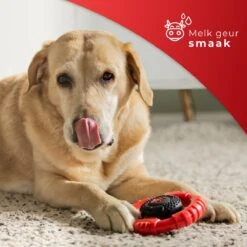 Kauwbot Stuurwiel 2.0 Extra Sterk Melk Geur Smaak En Piep Honden Speelgoed - Kauwspeelgoed Bot Hond - Dutchwide -Hondenspeelgoed Winkel 1200x1200 1003