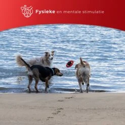 Kauwbot Stuurwiel 2.0 Extra Sterk Melk Geur Smaak En Piep Honden Speelgoed - Kauwspeelgoed Bot Hond - Dutchwide -Hondenspeelgoed Winkel 1200x1200 1004