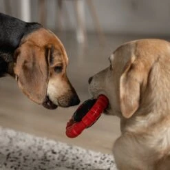 Kauwbot Stuurwiel 2.0 Extra Sterk Melk Geur Smaak En Piep Honden Speelgoed - Kauwspeelgoed Bot Hond - Dutchwide -Hondenspeelgoed Winkel 1200x1200 1005