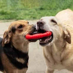 Kauwbot Stuurwiel 2.0 Extra Sterk Melk Geur Smaak En Piep Honden Speelgoed - Kauwspeelgoed Bot Hond - Dutchwide -Hondenspeelgoed Winkel 1200x1200 1006