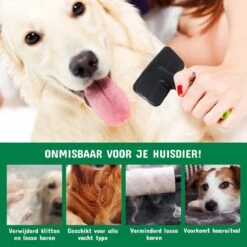 Mister Mill Professionele Set Slicker Honden Kattenborstel Plus Nagelknipper Plus Ondervacht Kam 31 Mister Mill Professionele Set Slicker Honden Kattenborstel Plus Nagelknipper Plus Ondervacht Kam -Hondenspeelgoed Winkel 1200x1200 102