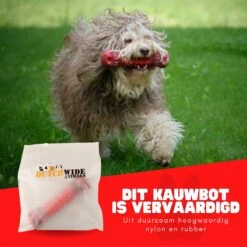 Kauwbot Hond Extra Sterk Kauwspeelgoed Melk Geur Smaak Honden Speelgoed - Rood Wit - Dutchwide 19 Kauwbot Hond Extra Sterk Kauwspeelgoed Melk Geur Smaak Honden Speelgoed - Rood Wit - Dutchwide -Hondenspeelgoed Winkel 1200x1200 1022