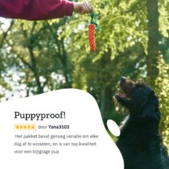 All 4 Pets Supply® Honden Speelgoed Set Geschikt Voor Puppy's T/m Middelgrote Honden - 12 Stuks - Hondenspeeltjes - Intelligentie - Touw - Flostouw - Bijtring - Bal 20 All 4 Pets Supply® Honden Speelgoed Set Geschikt Voor Puppy's T/m Middelgrote Honden - 12 Stuks - Hondenspeeltjes - Intelligentie - Touw - Flostouw - Bijtring - Bal -Hondenspeelgoed Winkel 1200x1200 1029