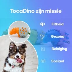 TocaDino - Kauwspeelgoed - Honden - Speelgoed Voor Honden - Reiniging - Dental - Blauw 12 TocaDino - Kauwspeelgoed - Honden - Speelgoed Voor Honden - Reiniging - Dental - Blauw -Hondenspeelgoed Winkel 1200x1200 1034