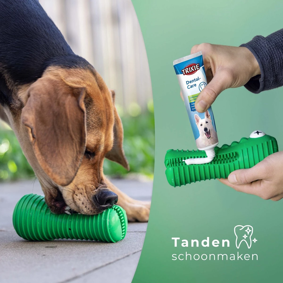 Tandenborstel Hond Melk Geur Smaak En Piep Honden Speelgoed Dog Toy - Krokodil Groen - Dutchwide 4 Tandenborstel Hond Melk Geur Smaak En Piep Honden Speelgoed Dog Toy - Krokodil Groen - Dutchwide - Afbeelding 2