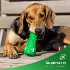 Tandenborstel Hond Melk Geur Smaak En Piep Honden Speelgoed Dog Toy - Krokodil Groen - Dutchwide 14 Tandenborstel Hond Melk Geur Smaak En Piep Honden Speelgoed Dog Toy - Krokodil Groen - Dutchwide -Hondenspeelgoed Winkel 1200x1200 1036