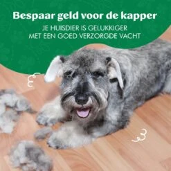 Mister Mill Professionele Set Slicker Honden Kattenborstel Plus Nagelknipper Plus Ondervacht Kam 33 Mister Mill Professionele Set Slicker Honden Kattenborstel Plus Nagelknipper Plus Ondervacht Kam -Hondenspeelgoed Winkel 1200x1200 104