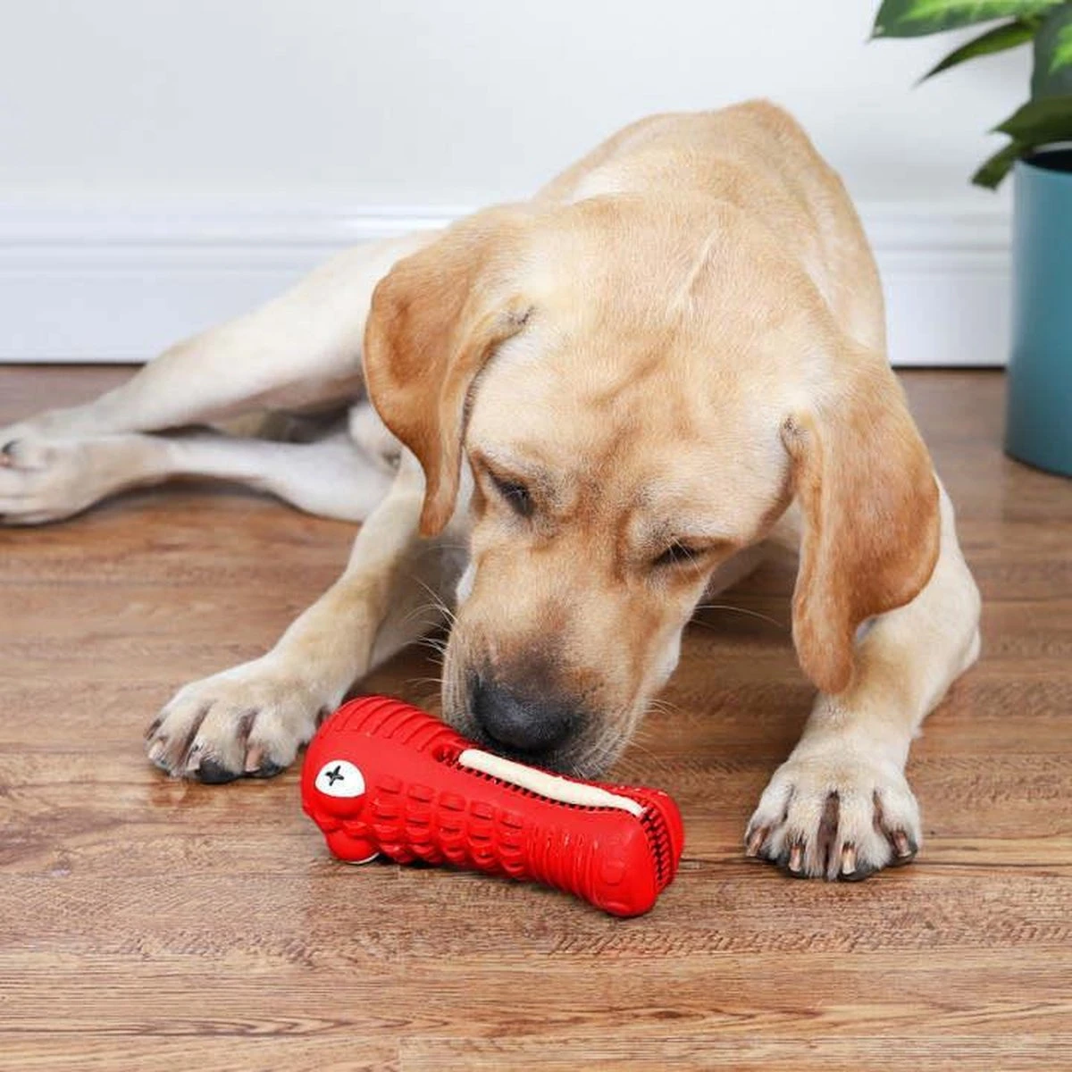 Tandenborstel Hond Melk Geur Smaak En Piep Honden Speelgoed Dog Toy - Krokodil Groen - Dutchwide 12 Tandenborstel Hond Melk Geur Smaak En Piep Honden Speelgoed Dog Toy - Krokodil Groen - Dutchwide - Afbeelding 10