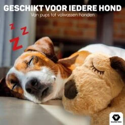 Vulpes Pets® Knuffel Hond Met Hartslag – Puppyknuffel - Hondenknuffel Voor Puppy - Snuggle Puppy - Knuffel Met Hartslag En Gratis Warmte Pad Speciaal Voor Puppy's -Hondenspeelgoed Winkel 1200x1200 1051