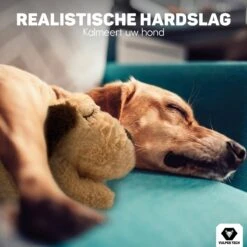 Vulpes Pets® Knuffel Hond Met Hartslag – Puppyknuffel - Hondenknuffel Voor Puppy - Snuggle Puppy - Knuffel Met Hartslag En Gratis Warmte Pad Speciaal Voor Puppy's -Hondenspeelgoed Winkel 1200x1200 1053