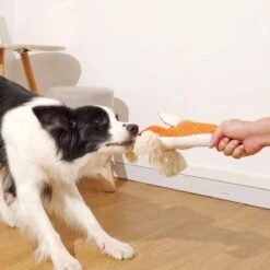 BoDutch Honden Knuffel - Vos - Puppyknuffel - Knisperoortjes - Met Piep - Oranje - 36 Cm - Hondenspeelgoed 20 BoDutch Honden Knuffel - Vos - Puppyknuffel - Knisperoortjes - Met Piep - Oranje - 36 Cm - Hondenspeelgoed -Hondenspeelgoed Winkel 1200x1200 1056