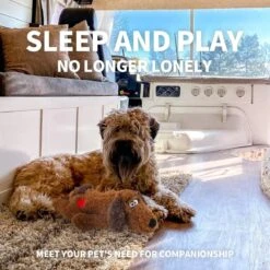 Merkloos Hondenknuffel - Puppyknuffel Met Hartslag - Knuffel Met Hartslag - Antistress Hond - Hondenspeelgoed 13 Merkloos Hondenknuffel - Puppyknuffel Met Hartslag - Knuffel Met Hartslag - Antistress Hond - Hondenspeelgoed -Hondenspeelgoed Winkel 1200x1200 1062