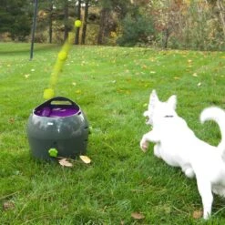 PetSafe Automatische Ballenwerper - Dierenspeelgoed -Hondenspeelgoed Winkel 1200x1200 1076
