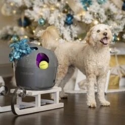 PetSafe Automatische Ballenwerper - Dierenspeelgoed -Hondenspeelgoed Winkel 1200x1200 1077
