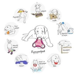 Kong Puppy Goodie Bone Small Small - 1 ST 18 Kong Puppy Goodie Bone Small Small - 1 ST -Hondenspeelgoed Winkel 1200x1200 1080