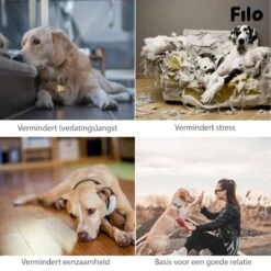 Filo Hondenknuffel Met Hartslag En Warmtebron - Hartslagknuffel Hondenspeelgoed Snuggle Puppy - Knuffel Met Hartslag - Heartbeat Knuffel Hond -Hondenspeelgoed Winkel 1200x1200 1085