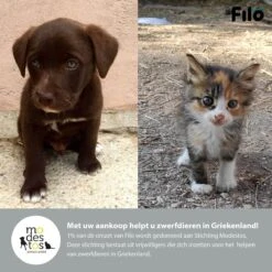 Filo Hondenknuffel Met Hartslag En Warmtebron - Hartslagknuffel Hondenspeelgoed Snuggle Puppy - Knuffel Met Hartslag - Heartbeat Knuffel Hond -Hondenspeelgoed Winkel 1200x1200 1086