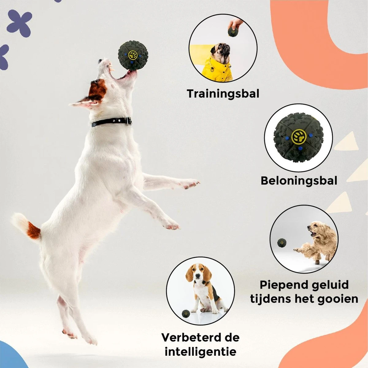Luxury Diversity - Honden Speelgoed - 12 Honden Speeltjes - Puppy Speelgoed - Honden - Honden Speelgoed Intelligentie 4 Luxury Diversity - Honden Speelgoed - 12 Honden Speeltjes - Puppy Speelgoed - Honden - Honden Speelgoed Intelligentie - Afbeelding 2