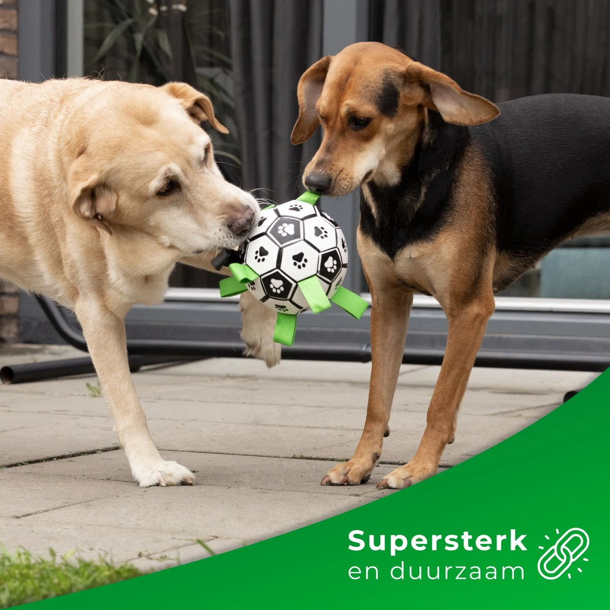 Honden Speelgoed Bal Voetbal Extra Sterk Met Handvaten Ball Hondenbal - 15 Cm - Dutchwide 5 Honden Speelgoed Bal Voetbal Extra Sterk Met Handvaten Ball Hondenbal - 15 Cm - Dutchwide - Afbeelding 3