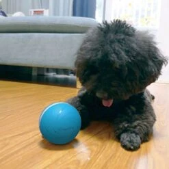 Cheerble Wicked Ball W1| Blauw| Zelf Rollende Bal Voor Honden | 3 Automatische Speelmodi | Interactief En Intelligentie Hondenspeelgoed | Hondenspeeltje| USB Oplaadbaar 21 Cheerble Wicked Ball W1| Blauw| Zelf Rollende Bal Voor Honden | 3 Automatische Speelmodi | Interactief En Intelligentie Hondenspeelgoed | Hondenspeeltje| USB Oplaadbaar -Hondenspeelgoed Winkel 1200x1200 1101