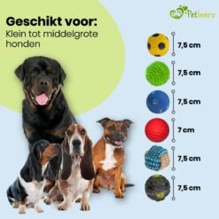 Petloverz Ballen Set - Honden Speelgoed - Intelligentie - Ballen - 6 Stuks 10 Petloverz Ballen Set - Honden Speelgoed - Intelligentie - Ballen - 6 Stuks -Hondenspeelgoed Winkel 1200x1200 1103