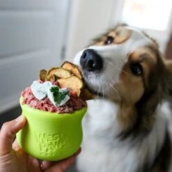 West Paw Toppl Zogoflex - Uitdagend En Sterk Speelgoed Voor Honden - Slowfeeder - Vulbaar Met Voer Of Snacks - Kleur: Groen, Maat: Large -Hondenspeelgoed Winkel 1200x1200 1118