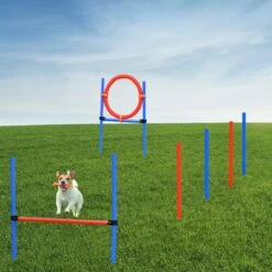 Merkloos Honden Agility Set - 23-delig - Agility Voor De Hond - Agility - Honden Parcours - Honden Training - Rood/Blauw -Hondenspeelgoed Winkel 1200x1200 1123