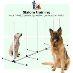 AYOO Agility Voor De Hond - Honden Training - Honden Behendigheid Set - Hondenparcours - Training Huisdieren - Honden Agility Set - Slalom - Horde - Draagzak - Agility Set - Oranje - Wit - GRATIS Speeltouw -Hondenspeelgoed Winkel 1200x1200 1133