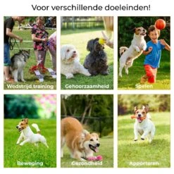 AYOO Agility Voor De Hond - Honden Training - Honden Behendigheid Set - Hondenparcours - Training Huisdieren - Honden Agility Set - Slalom - Horde - Draagzak - Agility Set - Oranje - Wit - GRATIS Speeltouw -Hondenspeelgoed Winkel 1200x1200 1134